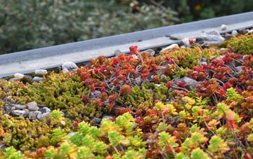 the cost of Middle Rocombe green roof installation