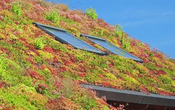 Middle Rocombe living roof systems